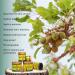 Organic Virgin Shea Butter with Tea Tree Essential Oil 250g for Body Hair Face Skin Firming Anti-Acne Dry Skin - Buy Online on GoSupps.com