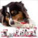 Beaphar Advanced Dual-Enzyme Liver-Flavoured Toothpaste | Dental Care for Dogs & Cats | 100g Tube - Buy Online on GoSupps.com