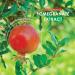 Organic Pomegranate Extract 10,000mg High Strength | Certified Organic, Non GMO, Gluten Free, Halal | 120 Vegan Capsules - Buy Online on GoSupps.com