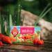 DEKOND TEEKANNE WILD BERRY- Wild fruit tea with wild berries - Strawberry and raspberry aroma - 6 x 20 - Buy Online on GoSupps.com