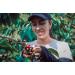 Legend Special Colombian Coffee | Unroasted Green Beans | 100% Organic | Green (raw) | Altitude 1850 MASL Huila - Colombia | Process Washed | Selective Harvesting| 1 Kg - Buy Online on GoSupps.com