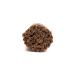 Organic Ceylon Cinnamon Sticks - Authentic C4 Grade - 27 Sticks (16mm Diameter, 5 Inches) - 3.52 oz (100g) - Buy Online on GoSupps.com