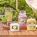 Yankee Candle Sunny Daydream Large Glass Candle | 150 Hour Burn Time | Garden Hideaway Collection - Shop Now! - Buy Online on GoSupps.com
