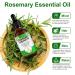 100% Pure Rosemary Oil for Hair Growth - Natural Essential Oil for Scalp Eyebrows & Eyelashes Nourishment - 60ml - Buy Online on GoSupps.com