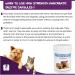 Pancreatic Digestive Enzyme Capsules for Dogs & Cats - Amylase and Lipase Health Supplement for Dog & Cat | 100 Capsules - Buy Online on GoSupps.com