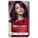 Schwarzkopf - Brillance - Coloration Cheveux Permanente Intense - Brillance Eclat Diamant - Couverture Parfaite des Cheveux Blancs - Masque Soin Fixateur - Violine Soie 859