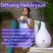 Vitality Extracts Helichrysum Essential Oil 30ml - Aromatherapy for Skin Care Stress Relief & Aches | International Shipping - Buy Online on GoSupps.com