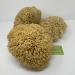 XXL Sea Sponge Very Large 18-20cm Unbleached Honeycomb Natural Seasponge for Bath Use or Art use (XXL Size Minimum 18cm+) Whole Uncut - Buy Online on GoSupps.com