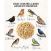 Dehner Natura Wild Bird Food - Chopped Peanuts 5kg | Premium Quality for Healthy Birds - International Shipping Available - Buy Online on GoSupps.com
