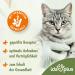 Ida Plus Optipoo Prodigest Mini Sticks for Cats - Anti-Hairball & Intestinal Support - 80 Delicious Snacks for Healthy Cats - Buy Online on GoSupps.com