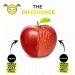 Natural Refrigerator Air Freshener - Odorless & Reusable - 2-Pack Compact Activated Carbon Deodorizer for Fridges Lunch Bags & Cool Boxes - Buy Online on GoSupps.com