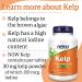 Now Foods Kelp 150mcg 200 Tablets - Lab-Tested Natural Iodine, Soy Free, Gluten Free, Vegetarian - Buy Online on GoSupps.com