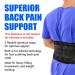 Buy BioBrace Lumbar Back Brace for Pain Relief - Far-Infrared Technology for Men & Women (Large) - International Shipping Available - Buy Online on GoSupps.com