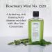 C.O. Bigelow Rosemary Mint Body Cleanser - No. 1520 | Moisturizing Body Wash with Aloe Vera | 10 fl oz - Buy Online on GoSupps.com