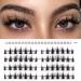 Lankiz manga lashes single eyelash 96 PCs DIY eyelashes extensions fake lashes with lower eyelashes manga eyelash clusters 56 PCs cluster eyelashes with 40 PCs lower eyelashes Classic Manga C-Classic manga 96PCs