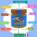 Dalia Nut Spreads - Sugar-Free High Nut Content Vegan & Gluten-Free | 4x200g | Made in Italy (Hazelnut Chocolate Almond-Tonka Almond Coconut) - Buy Online on GoSupps.com