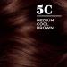 Clairol Nice n Easy 5C Medium Cool Brown Hair Color - Pack of 3 | Allergy-Friendly Permanent Dye & Conditioner for Natural-Looking Grey Coverage - Buy Online on GoSupps.com