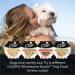 CESAR Wholesome Bowls Wet Dog Food Chicken Sweet Potato & Green Beans 85g Pack of 10 Chicken Sweet Potato & Green Beans 85 g (Pack of 10) - Buy Online on GoSupps.com