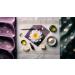 Buy Korean Lotus Flower Moisturizing Cream with Hyaluronic Acid - Hydrate & Nourish Skin | International Shipping - Buy Online on GoSupps.com