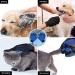 Improved Lint Brush Set with Cleaning Station & Pet Gloves - Effective Animal Hair Remover for Sofa Upholstery & Textiles - 2 Pieces Blue - Buy Online on GoSupps.com