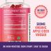 Apple Cider Vinegar Gummies with Vitamin B6, B12 & Folic Acid | 60 ACV Gummies for Cleansing, Metabolism, Energy Boost & Immunity | Dietary Supplement with The Mother - Buy Online on GoSupps.com
