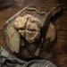 Wild Fuschia Bakehouse Bread Baking Kit - Irish Soda Bread Mix & Wheaten Bread Mix - One Bowl Wonders for Novice Bakers - Vegan Friendly - Value Bundle of 2 Bread Mixes - Buy Online on GoSupps.com