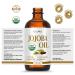 BodyJ4You Organic Jojoba Oil 6PC Dermaplane Razors for Women Face - USDA Organic 100% Pure Natural - Face Razor Eyebrow Hair Trimmer Men Facial Hair Shaver - Unrefined Cold Pressed Skin Care - 1 Fl Oz - Buy Online on GoSupps.com