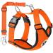 Slowton dog harness with seat belt for car breathable dish Dog seat belt with 2 carabin hooks for attachment to the seat belt buckle or trunk (orange XS) XS B-orange