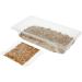 Webbox Cat Grass Kit 120g - Buy Online on GoSupps.com