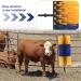 Generic Cattle Scratch Brush - Cow Brush for Itching Relief | Perfect for Cattle Horses Sheep & Pigs - Yellow - Buy Online on GoSupps.com