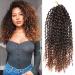 12 Inch Short Passion Twist Hair Marlybob Crochet Hair - 6 Bundles 12 Kinky Curly Crochet Hair for Black Women - Buy Online on GoSupps.com