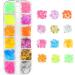 Flower Nails Flakes 12 Colors Nails Art Nail Sequins Nail Glitter Mix Color Fluorescent(02) - Buy Online on GoSupps.com