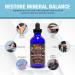 Mineral Treasure Full Spectrum Low Sodium Concentrated Mineral Drops - 60 Servings, 4oz - Buy Online on GoSupps.com