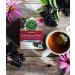 Traditional Medicinals Organic Echinacea Elderberry Herbal Tea - 32 Tea Bags Total, Immune Function Support, Pack of 2 - Buy Online on GoSupps.com
