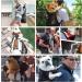 Galat e Adjustable Dog Backpack for Small & Medium Dogs | Easy Transport Perfect for Hiking Travel & Outdoor Walks (Size L Gray) - Buy Online on GoSupps.com