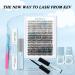 300 Pcs C-Mix Lash Clusters 20D+40D+50D | DIY Lash Extension Kit | Easy to Apply for Natural Volume Look - Buy Online on GoSupps.com