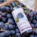  sarcia.eu ITINERA - Smoothing Body Wash with Tuscan Red Grapes 95% natural ingredients 370 ml 2 pieces - Buy Online on GoSupps.com