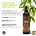 Hemp Seed Body Mist - 8 fl oz - Moisturizes Invigorates & Protects Skin - With Hemp Seed Oil Chamomile & Aloe Vera - Vegan Cruelty Free Dreamsicle - Buy Online on GoSupps.com