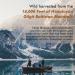 Purest Himalayan Shilajit Resin - Gold Grade 30g | 100% Pure with Fulvic Acid & 85+ Trace Minerals | Energy & Immune Support Supplement - Buy Online on GoSupps.com