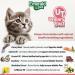 Emerald Pet Feline Health Chews UT Support - Grain-Free Cat Supplements with Cranberry for Urinary Tract Health - 2.5 oz Single Pack - Made in USA - Buy Online on GoSupps.com