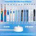 Electric Toothbrush Charger for Oral B - Replacement UK Plug for Pro 650, Genius, Smart Series & More - Buy Online on GoSupps.com