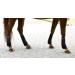 Kerbl 320133 Fetlock Boots - Synthetic Rubber Warmblood Set of 4 - Black | International Shipping - Buy Online on GoSupps.com