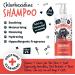 BUGALUGS Dog Shampoo for Itchy Skin Antibacterial And Antifungal Natural Safe Sensitive Formula - Fast Absorbing Skin Cooling First Aid relief For Cuts Grazes Skin Irritation - Buy Online on GoSupps.com