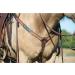 Shop Turquoise Cross & Beaded Collection - Premium Straight Breast Collar | International Shipping Available - Buy Online on GoSupps.com