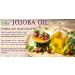 Dr Joe Lab Jojoba Oil - 100% Pure Cold Pressed Extra Virgin - Moisturizes & Nourishes Hair Skin Body Nails & Beard - 1 Gallon (128 Oz) - International Shipping Available - Buy Online on GoSupps.com