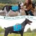PETAMI Hundred Saddlebag for Medium & Large Dogs | Reflective Hiking Dog Vest with Side Pockets - Blue - Buy Online on GoSupps.com