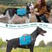 PETAMI Dog Saddle Bag - Medium & Large Dogs Reflective Hiking Pack with Dishes Pockets Safe & Comfortable Vest - Blue - Buy Online on GoSupps.com