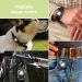 Airtag Dog Collar Holder Airtag Keyring IP68 Waterproof AirTag Holder Hard TPU Full Protection Airtag Case for Dog Cat Collar Key Backpack Luggage GPS Tracker with Detachable Metal Bolt Peach - Buy Online on GoSupps.com