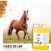 VET Flaxseed Oil Animal Food | Digestion Heart Blood Vessels | Omega 3-6-9 Vitamins A-D-E-K | Subst - Buy Online on GoSupps.com
