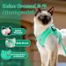 Soft Cat Dishes & Vests for Kittens & Small Dogs - Supet Lime Green - International Shipping Available - Buy Online on GoSupps.com
